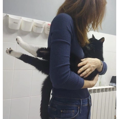 Кардиогенный отек легких