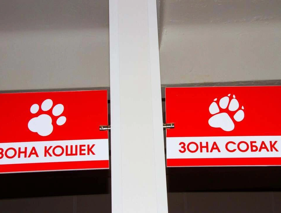 Инъекции животным фото 4