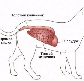 Типы операций