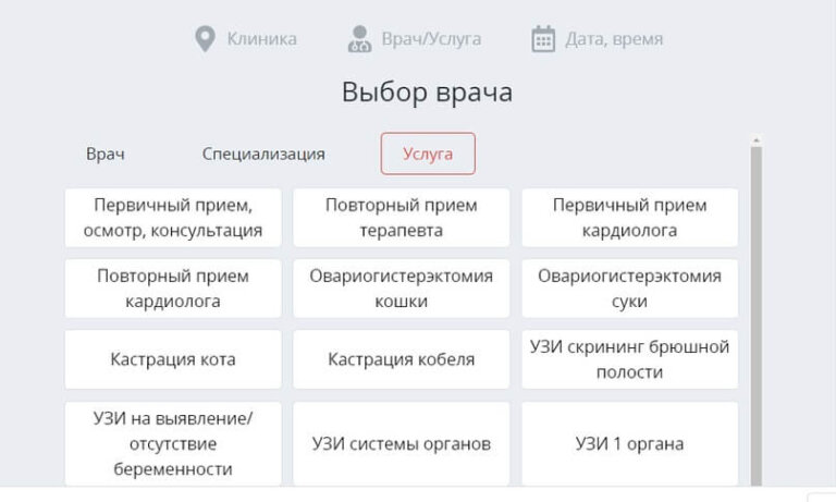 Запись в ветклинику