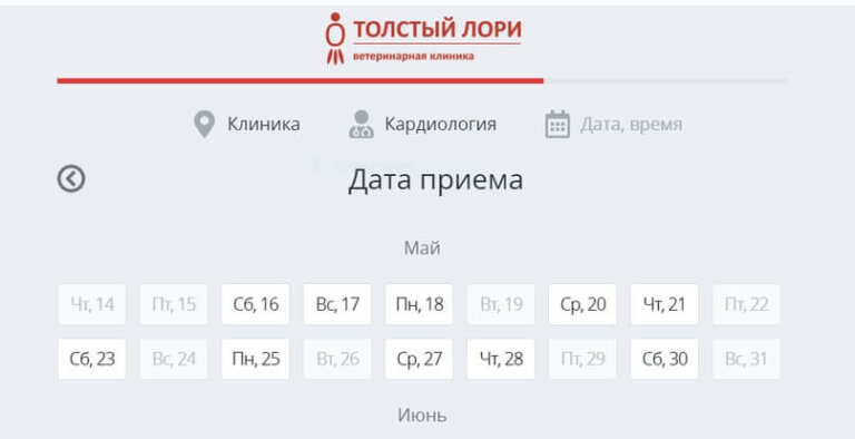 Запись в ветклинику