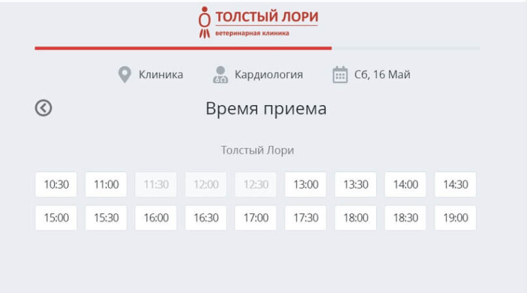 Запись в ветклинику